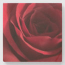 Search for a rose sandstone coasters Kitchen