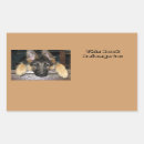 Search for dog teacher stickers Pet