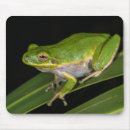 Search for tree frog mouse mats Amphibian