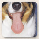 Search for tongue coasters Square