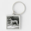 Search for dog breed square key rings Terrier