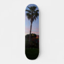 Search for palm tree skateboards Florida