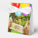 Search for cake box favour boxes Celebration