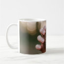 Search for pine cone mugs Outdoors