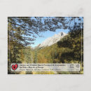 Search for beech postcards Forest