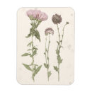 Search for bloom magnets Flowers