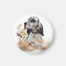 Search for tri colour magnets Dog
