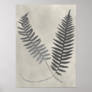 Search for fern posters Leaf