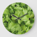 Search for green leaf clocks Macro