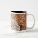 Search for shrub mugs Flower