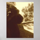 Search for great apes art Nature