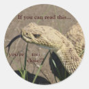 Search for snake photography Rattlesnake