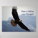 Search for bald eagle design posters Wildlife