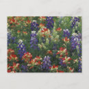 Search for paint brush postcards Colourful
