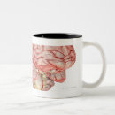 Search for human organ mugs People