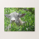 Search for goat puzzles Farm