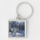 Search for cold key rings Tranquil scene