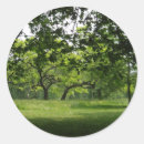 Search for peaceful scene stickers Nature