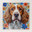 Search for springer spaniel puzzles Pet