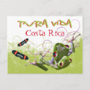 Search for tree frog postcards Costa rica
