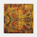 Search for collins magnets Foliage