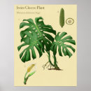 Search for cheesing art Botanical