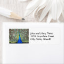 Search for peacock bird return address labels Peafowl