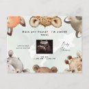 Search for ultrasound postcards Funny