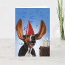 Search for blow cards Dog