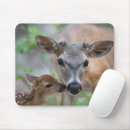 Search for fawn mouse mats Young animal