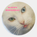 Search for cat with blue eyes stickers White