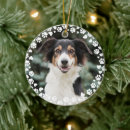 Search for paws christmas tree decorations Dogs