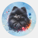 Search for pomeranian stickers Watercolor
