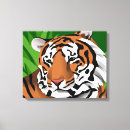 Search for big cat canvas prints Feline