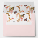 Search for butterfly envelopes Cute