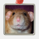 Search for pet rat christmas tree decorations Dumbo
