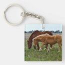 Search for horse mum key rings Foal