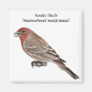 Search for finch magnets House