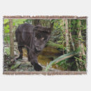 Search for black panther blankets Animal