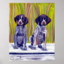 Search for german shorthaired posters Pet