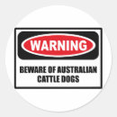 Search for cattle dog stickers Pets