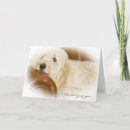 Search for cuddly cards Fluffy