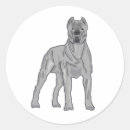 Search for cane corso stickers Italian mastiff