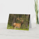 Search for danita delimont cards Canada