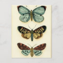 Search for collective postcards Animals