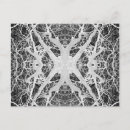 Search for spider webs postcards Black