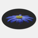 Search for gerbera daisy stickers Floral