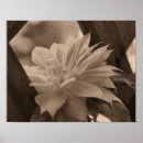 Search for nestled art Nature