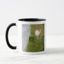 Search for farm scene mugs Fence
