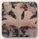 Search for oak leaf coasters Brown